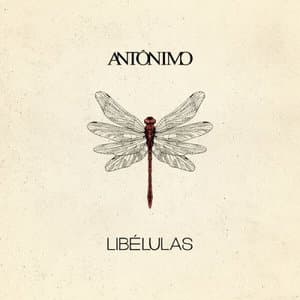 Libelulas