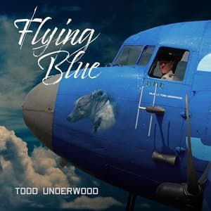 Flying Blue