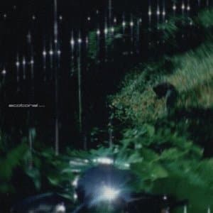 Ecotonal