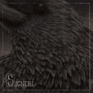 Signeri