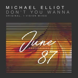 Don't You Wanna