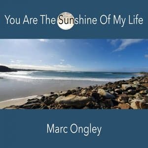 You Are the Sunshine of My Life