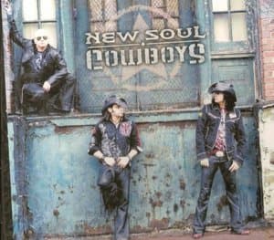 New Soul Cowboys
