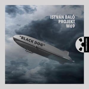 Black Dog