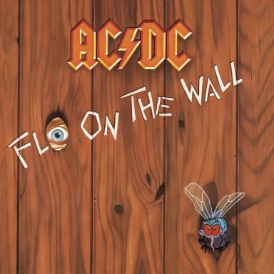 Fly On The Wall
