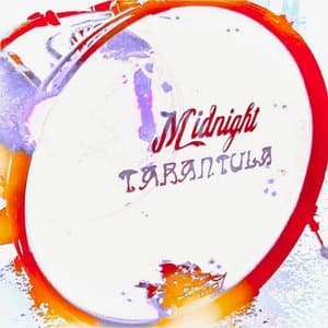 Midnight Tarantula