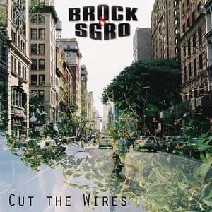 Cut the Wires