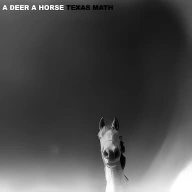 Texas Math