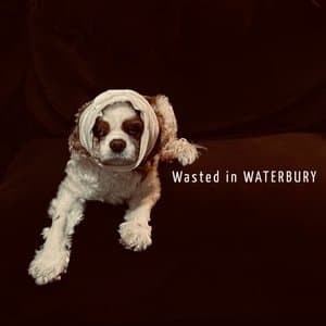 Wasted in Waterbury