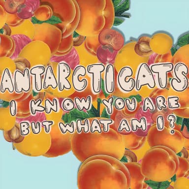 I Know You Are But What Am I