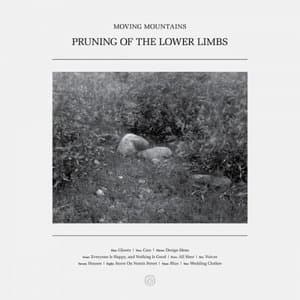 Pruning of the Lower Limbs