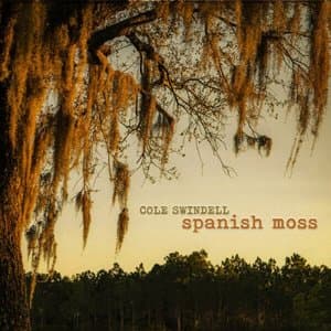 Spanish Moss