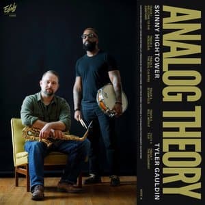 ANALOG THEORY
