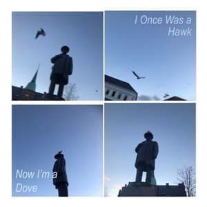 I Once Was A Hawk Now Im A Dove