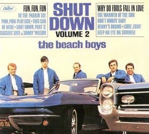 Shut Down Vol. 2