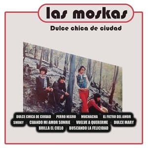Dulce Chica De Ciudad