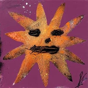 Sunny Boy
