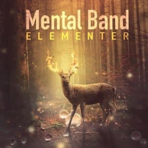 Elementer