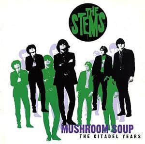 Mushroom Soup, The Citadel Years