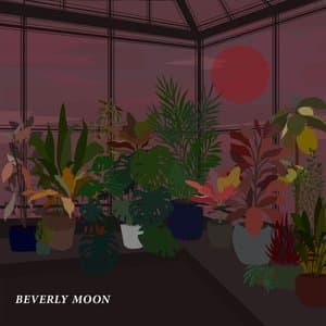 Beverly Moon
