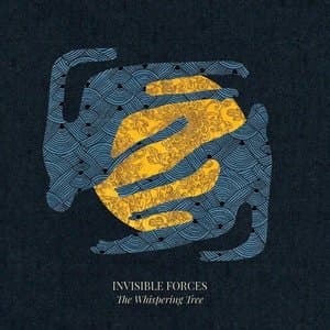 Invisible Forces