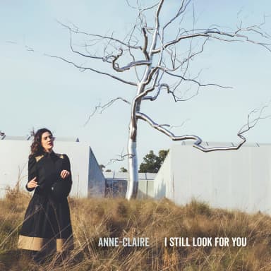 I Still Look for You
