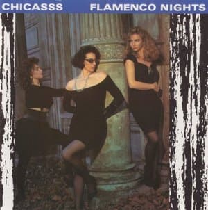 Flamenco Nights