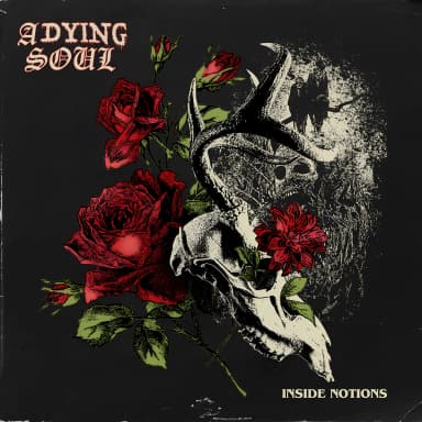 Inside Notions