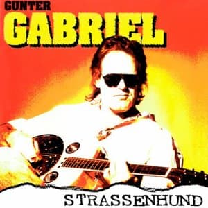 Strassenhund
