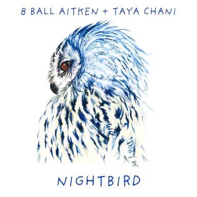 Nightbird