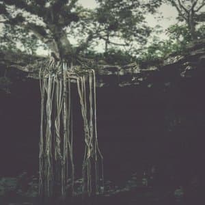 Tears on Deaf Eyes