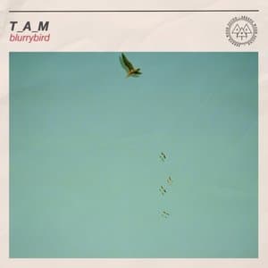 Blurrybird