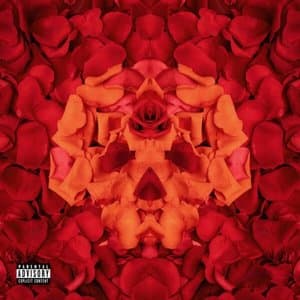 Whiskey & Roses