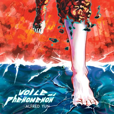 voice and phenomenon