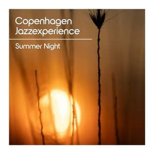 Summer Night