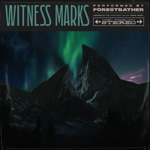 Witness Marks