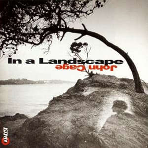 In A Landscape