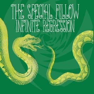 Infinite Regression
