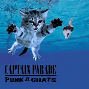 Punk a chats