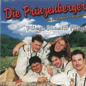 Flieg, Musik flieg!