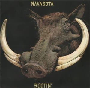 Rootin