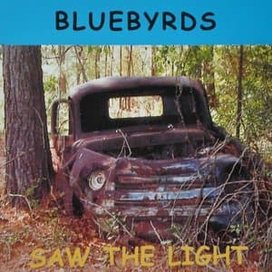 Saw The Light