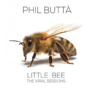 Little Bee