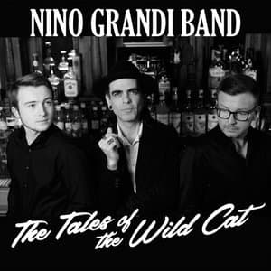 The Tales of the Wild Cat