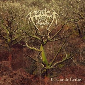 Bosque De Ceibos