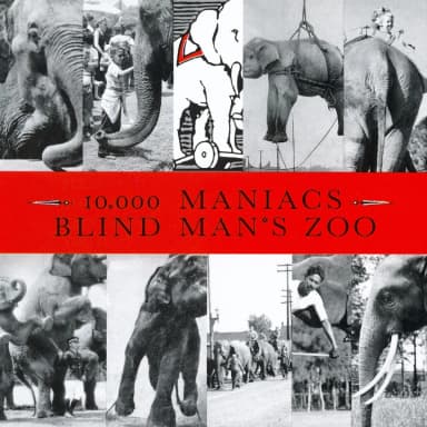 Blind Mans Zoo