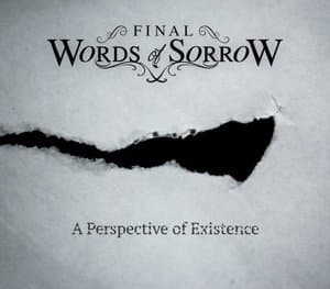 A Perspective of Existence