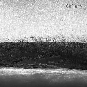 Celery 