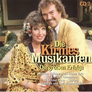 Die grossen Erfolge