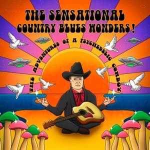 The Adventues Of A Psychedelic Cowboy